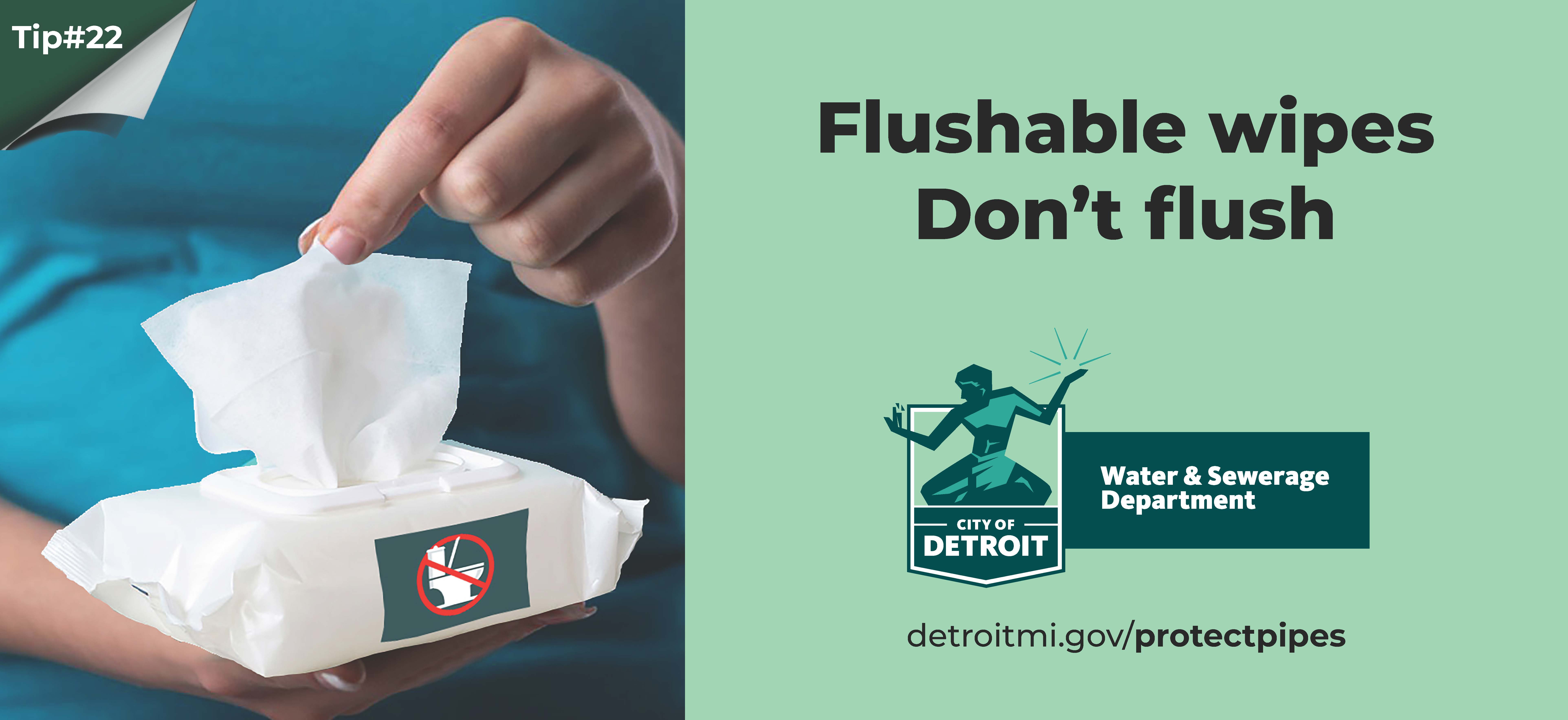 Protect the Pipes City of Detroit